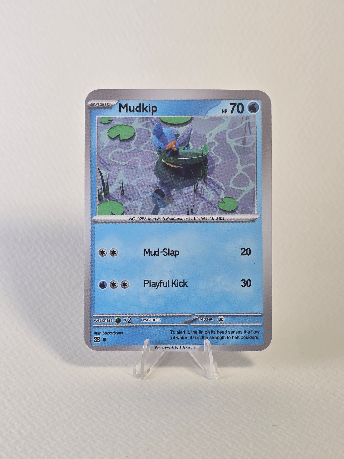 Mudkip AR Card