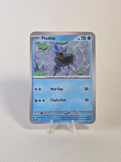 Mudkip AR Card